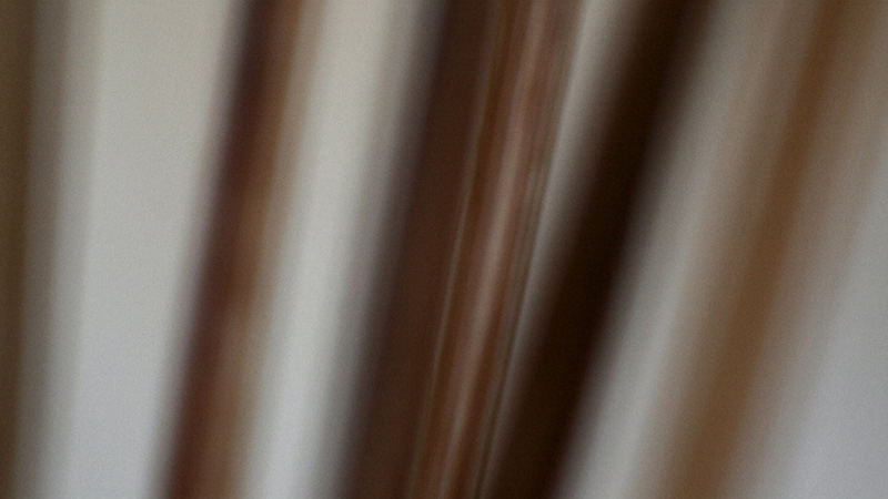 Bamboo Sticks