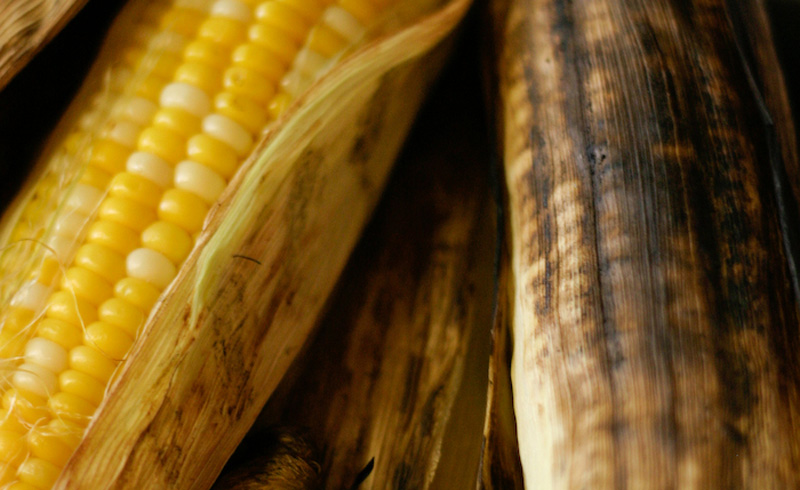 Burnt Husk