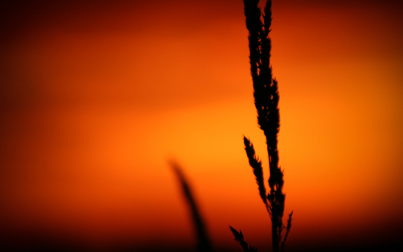 Sunset II