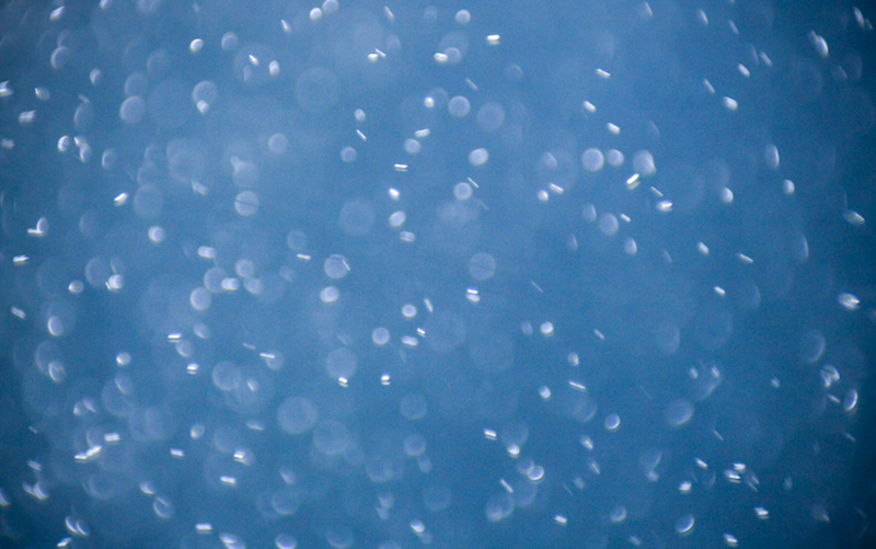 Blue Light