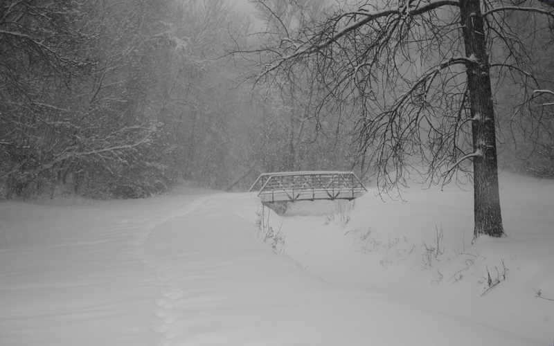 Bridge & White