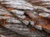 Iron Chain