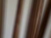 Bamboo Sticks